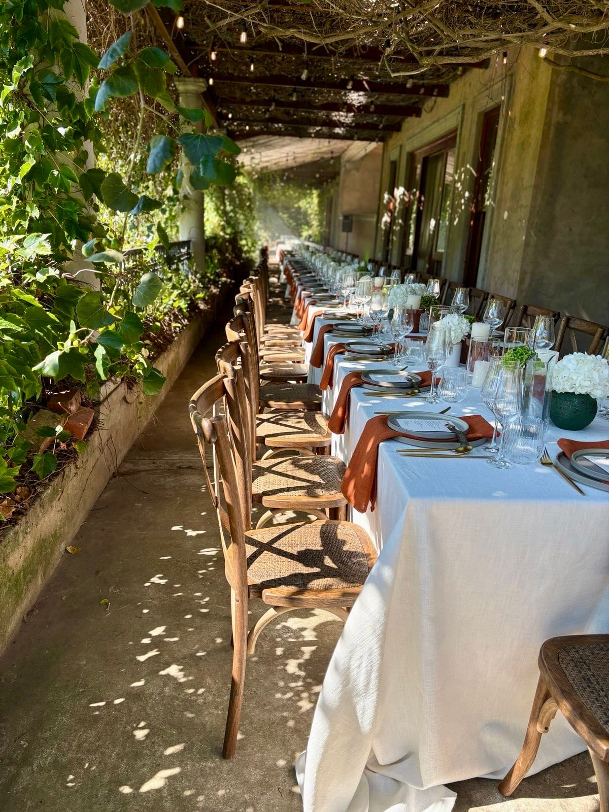 Wild Compass - Image 4