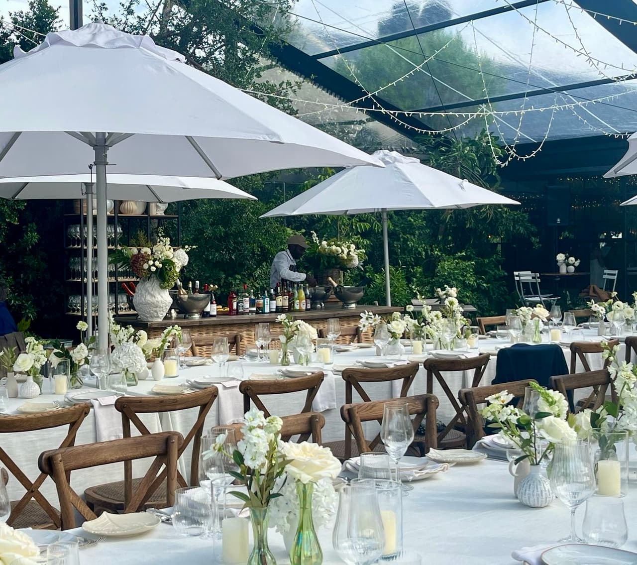 Wild Compass - Image 3