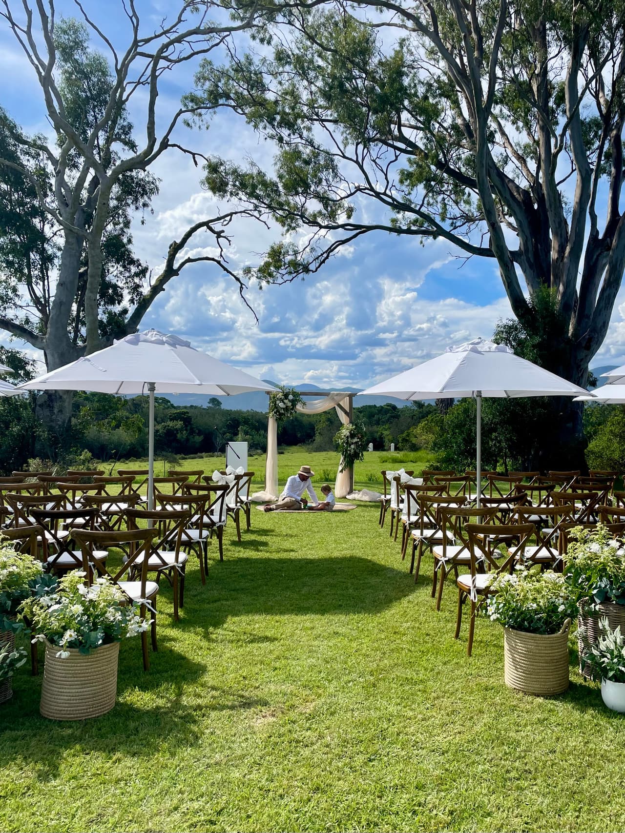 Wild Compass - Image 2