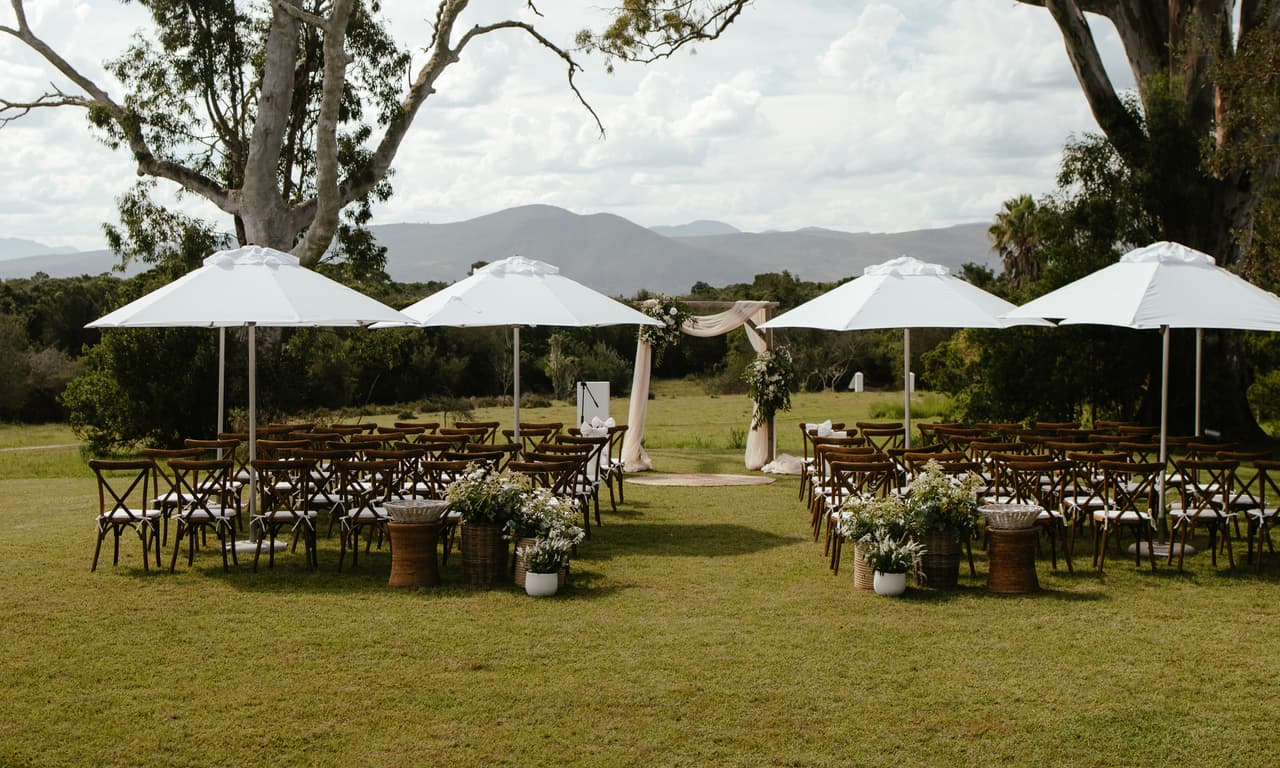 Wild Compass - Image 7