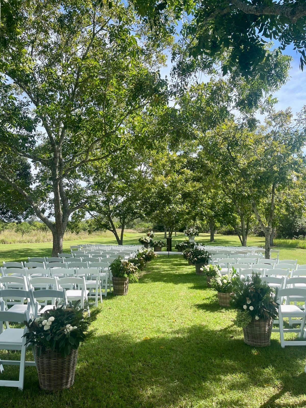 Wild Compass - Image 6